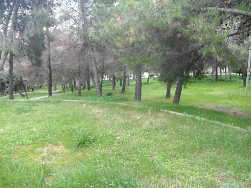 ZTE-V965-camera-test-1