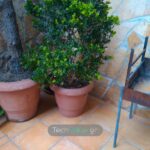 ZTE-Nubia-Z5S-Camera-4