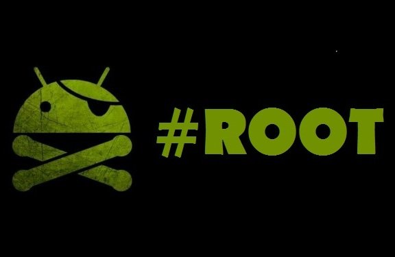 Root